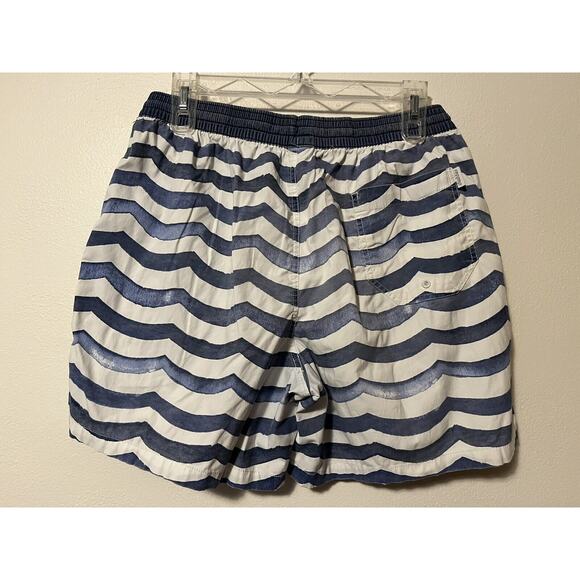 Chubbies Swim Trunks Mens Large Blue White Striped Lined Shorts Bathing Suit - Picture 3 of 12